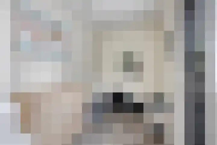 Slauerhoffgaarde 24 Deventer thumbnail 10