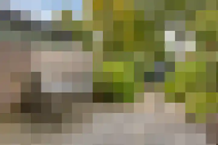 Slauerhoffgaarde 24 Deventer thumbnail 24