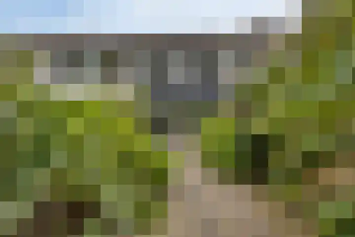 Slauerhoffgaarde 24 Deventer thumbnail 25
