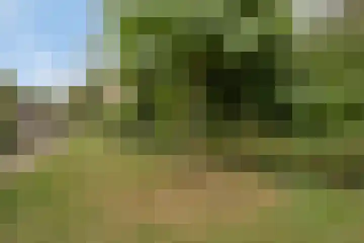 Slauerhoffgaarde 24 Deventer thumbnail 27