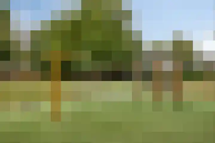 Slauerhoffgaarde 24 Deventer thumbnail 28