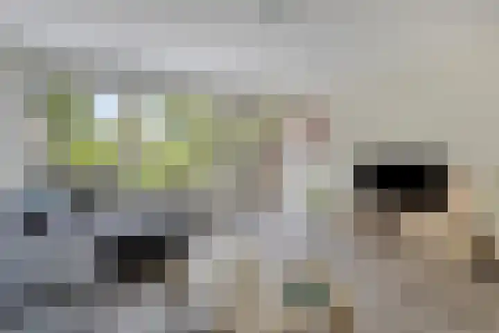 Slauerhoffgaarde 24 Deventer thumbnail 4