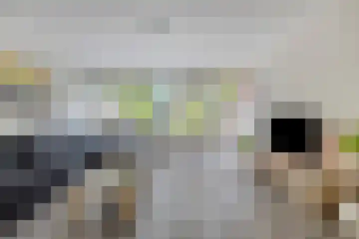 Slauerhoffgaarde 24 Deventer thumbnail 5