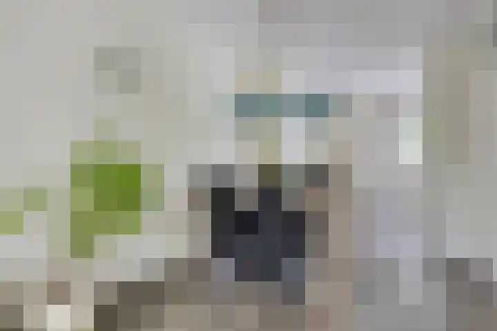 Slauerhoffgaarde 24 Deventer thumbnail 6