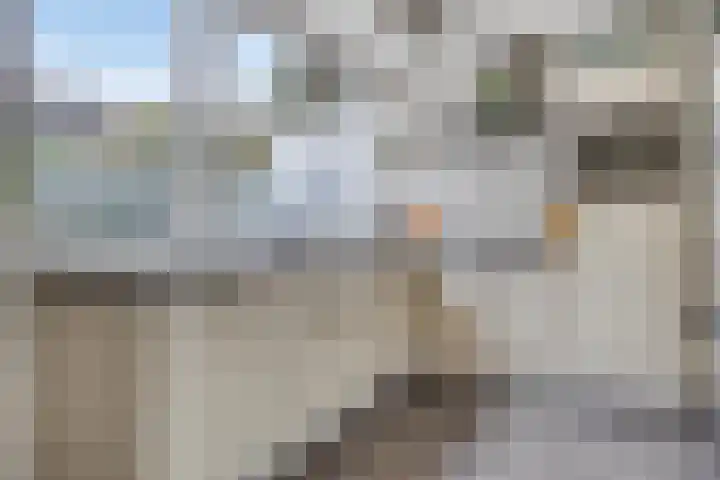 Slauerhoffgaarde 24 Deventer thumbnail 7