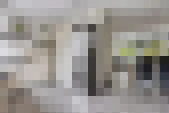 Slauerhoffgaarde 24 Deventer thumbnail 9