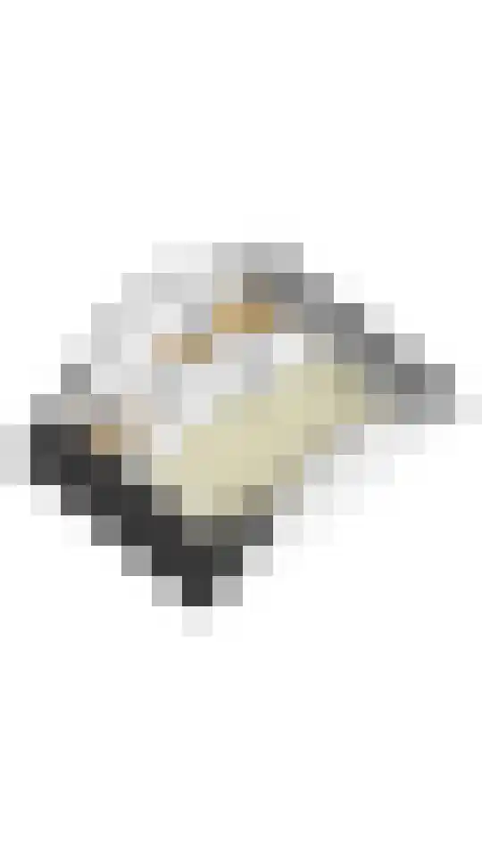 Slauerhofflaan 29 Uithoorn thumbnail 32