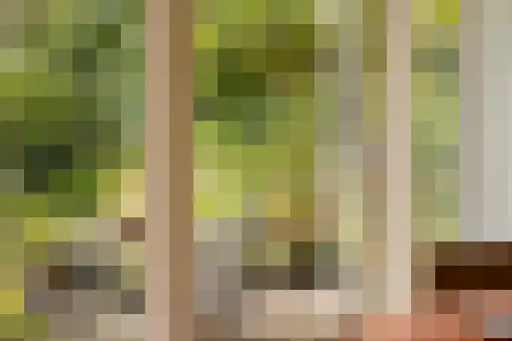 Slauerhofflaan 80 Haren Gn thumbnail 19