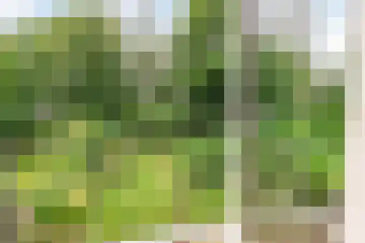 Slauerhofflaan 80 Haren Gn thumbnail 33