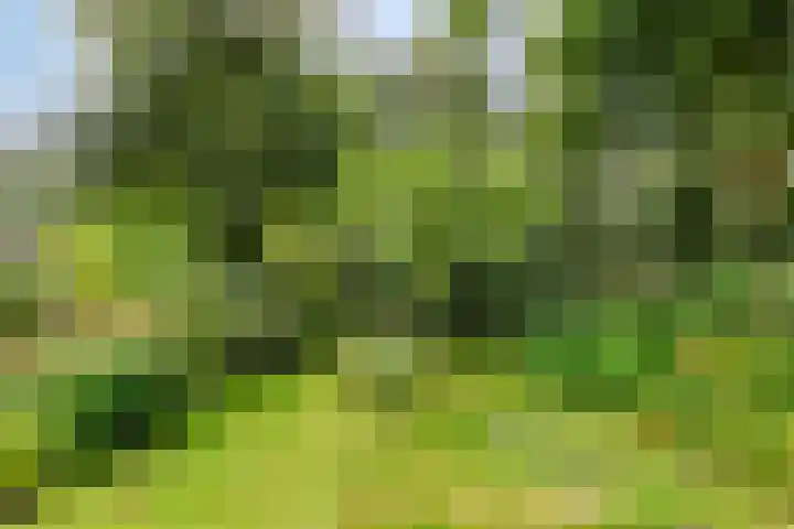 Slauerhofflaan 80 Haren Gn thumbnail 44