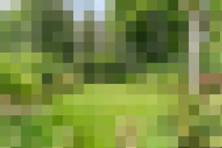 Slauerhofflaan 80 Haren Gn thumbnail 46