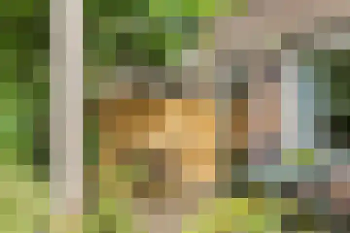 Slauerhofflaan 80 Haren Gn thumbnail 48