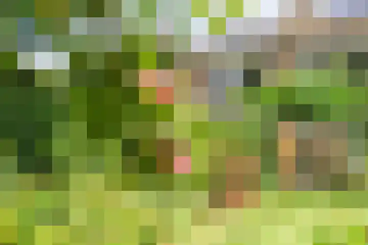 Slauerhofflaan 80 Haren Gn thumbnail 49