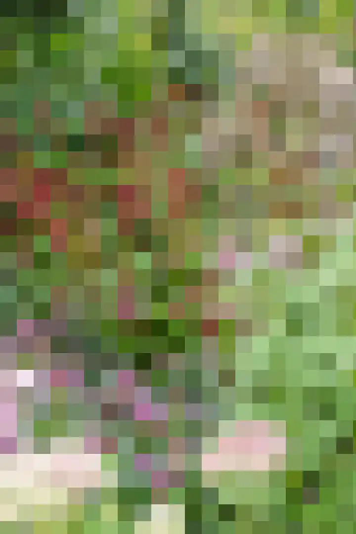 Slauerhofflaan 80 Haren Gn thumbnail 51