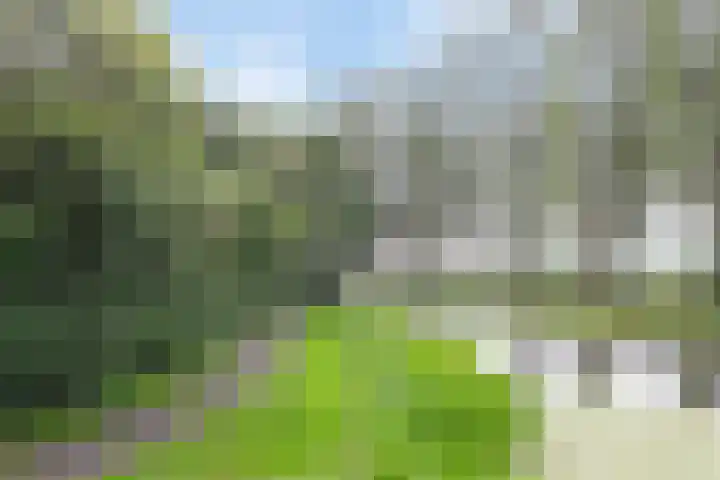 Slauerhofflaan 80 Haren Gn thumbnail 52