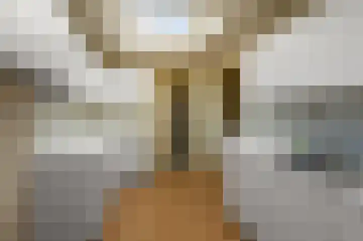 Slauerhoffstraat 1 Wormerveer thumbnail 11