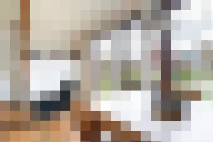 Sleatemar 25 Balk thumbnail 11