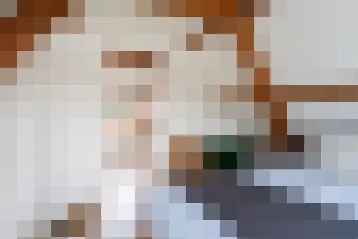 Sleatemar 25 Balk thumbnail 20