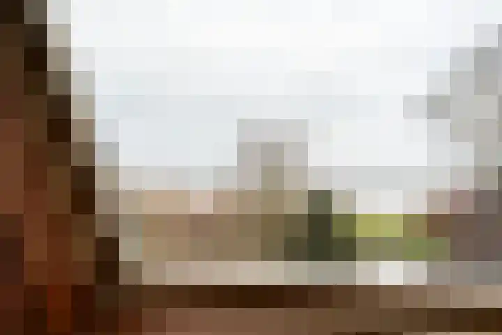 Sleatemar 25 Balk thumbnail 23