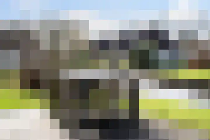 Sleatemar 25 Balk thumbnail 26