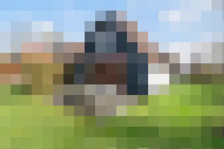 Sleatemar 25 Balk thumbnail 27