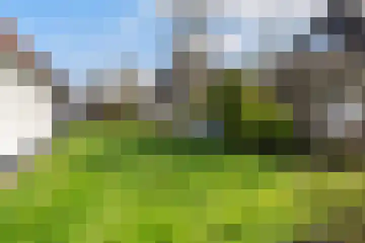 Sleatemar 25 Balk thumbnail 29