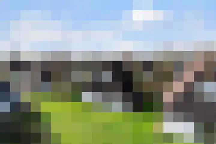 Sleatemar 25 Balk thumbnail 33