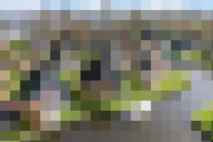 Sleatemar 25 Balk thumbnail 36