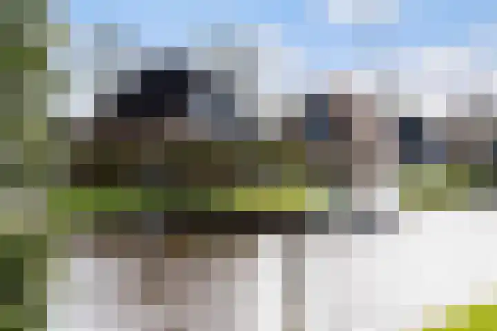 Sleatemar 25 Balk thumbnail 37