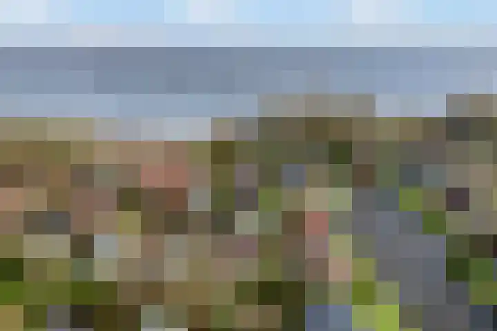 Sleatemar 25 Balk thumbnail 4