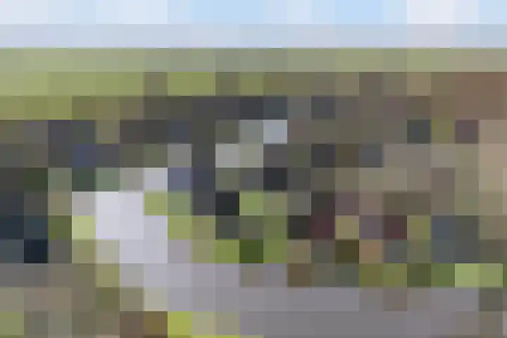 Sleatemar 25 Balk thumbnail 41