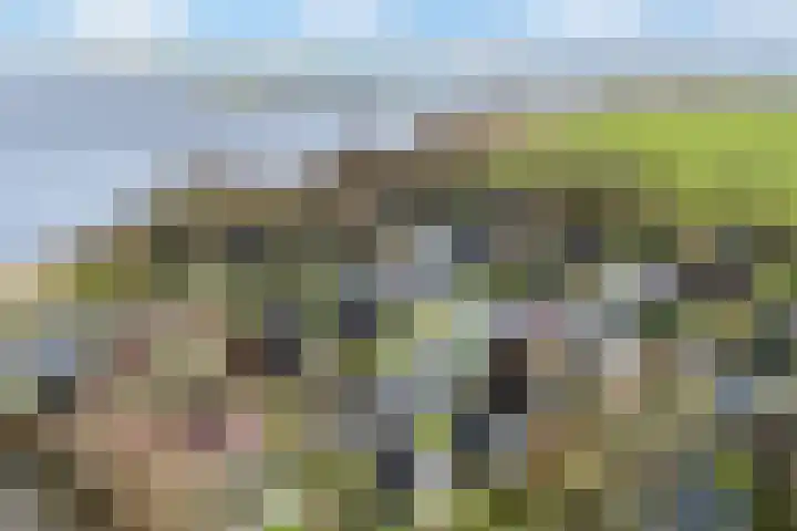 Sleatemar 25 Balk thumbnail 44