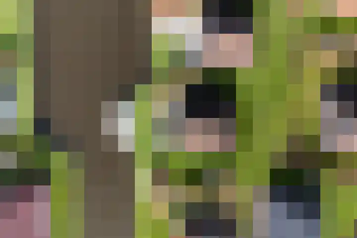 Sleatemar 25 Balk thumbnail 45