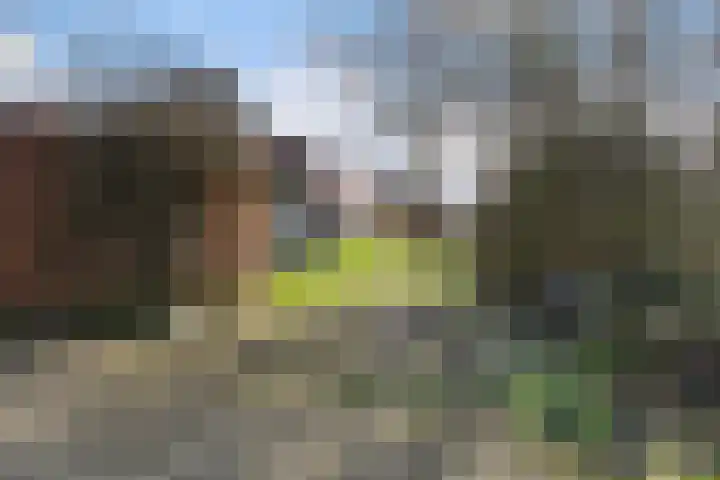 Sleatemar 25 Balk thumbnail 48