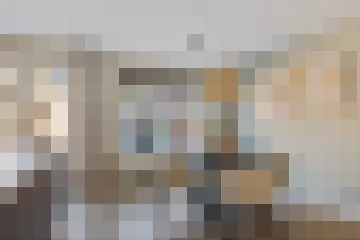 Slechtvalk 34 Emmen thumbnail 13