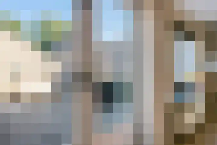 Slechtvalk 34 Emmen thumbnail 20