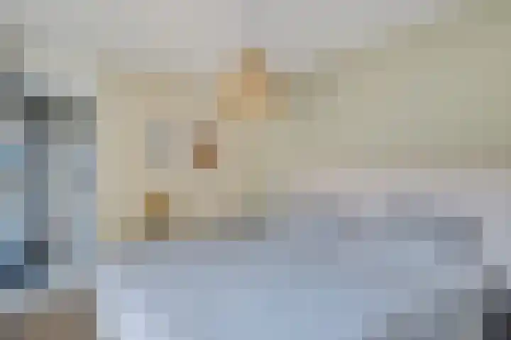 Slechtvalk 34 Emmen thumbnail 25