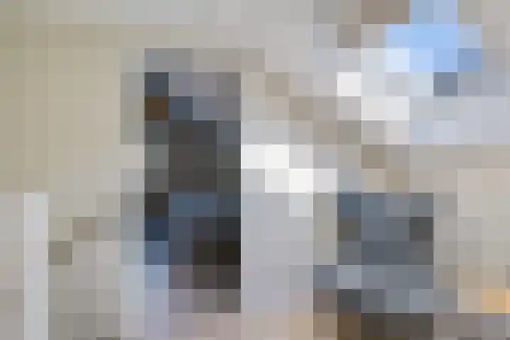 Slechtvalk 34 Emmen thumbnail 30