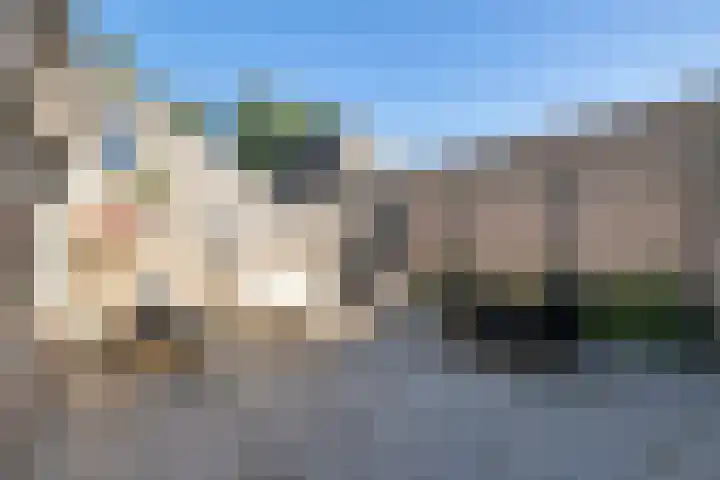Slechtvalk 34 Emmen thumbnail 33