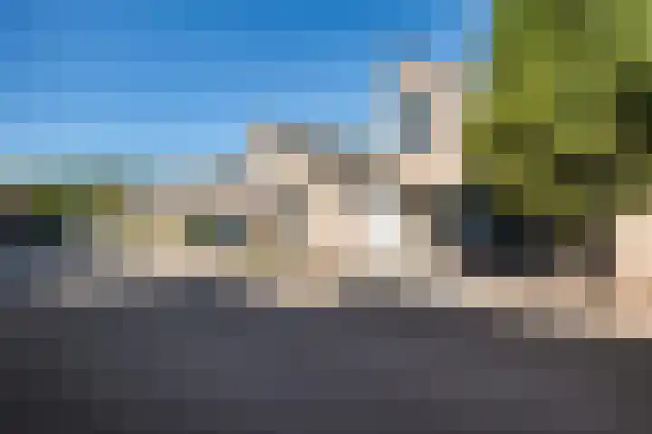 Slechtvalk 34 Emmen thumbnail 5