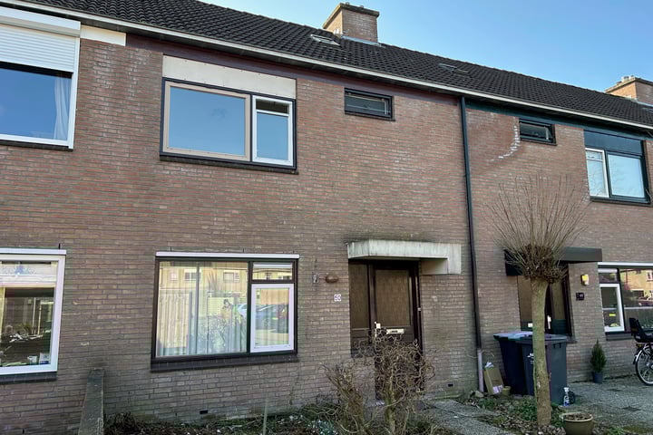 Slechtvalk 50 in Emmen foto