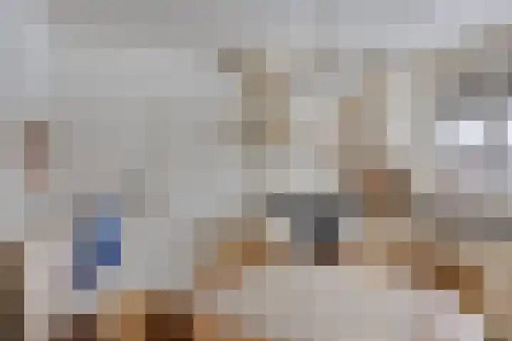 Sleedoorn 14 Geldrop thumbnail 17