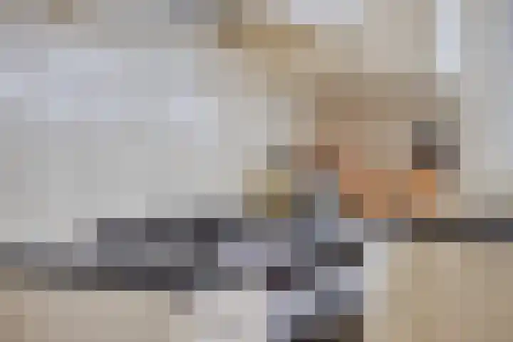 Sleedoorn 14 Geldrop thumbnail 18