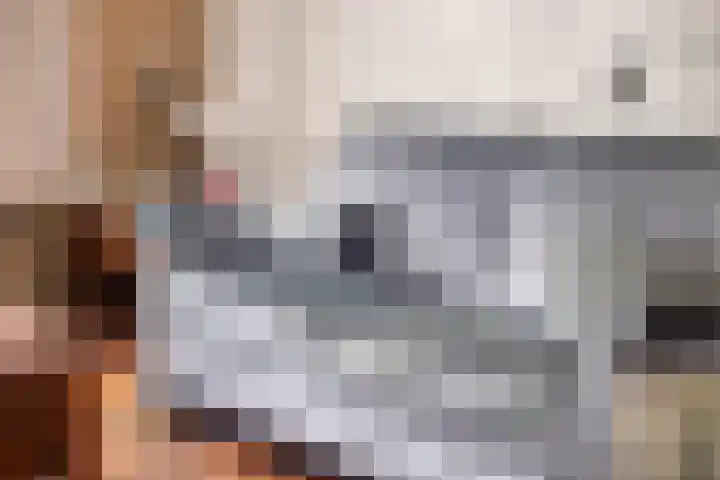 Sleedoorn 14 Geldrop thumbnail 25