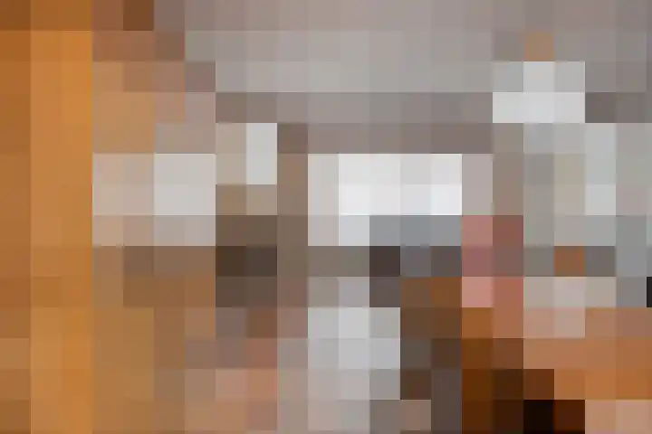 Sleedoorn 14 Geldrop thumbnail 29