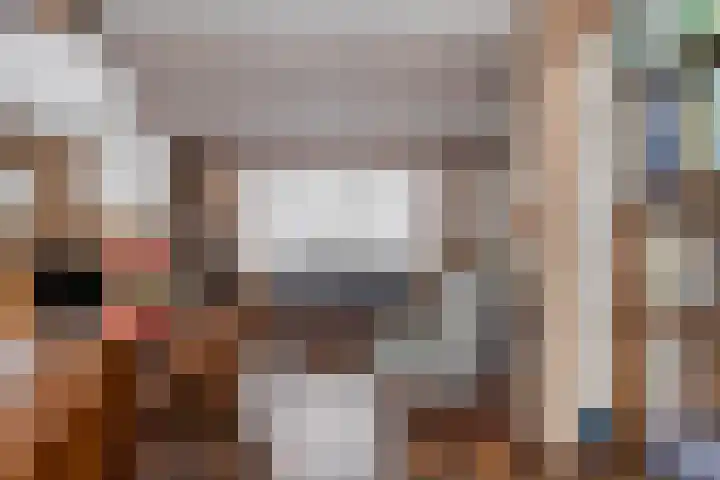 Sleedoorn 14 Geldrop thumbnail 30
