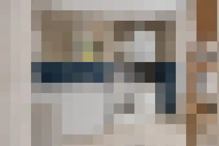 Sleedoorn 14 Geldrop thumbnail 33