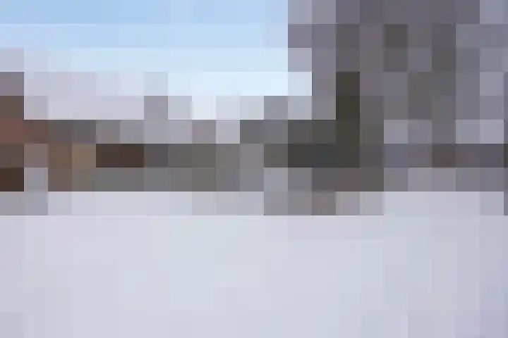Sleedoorn 14 Geldrop thumbnail 6