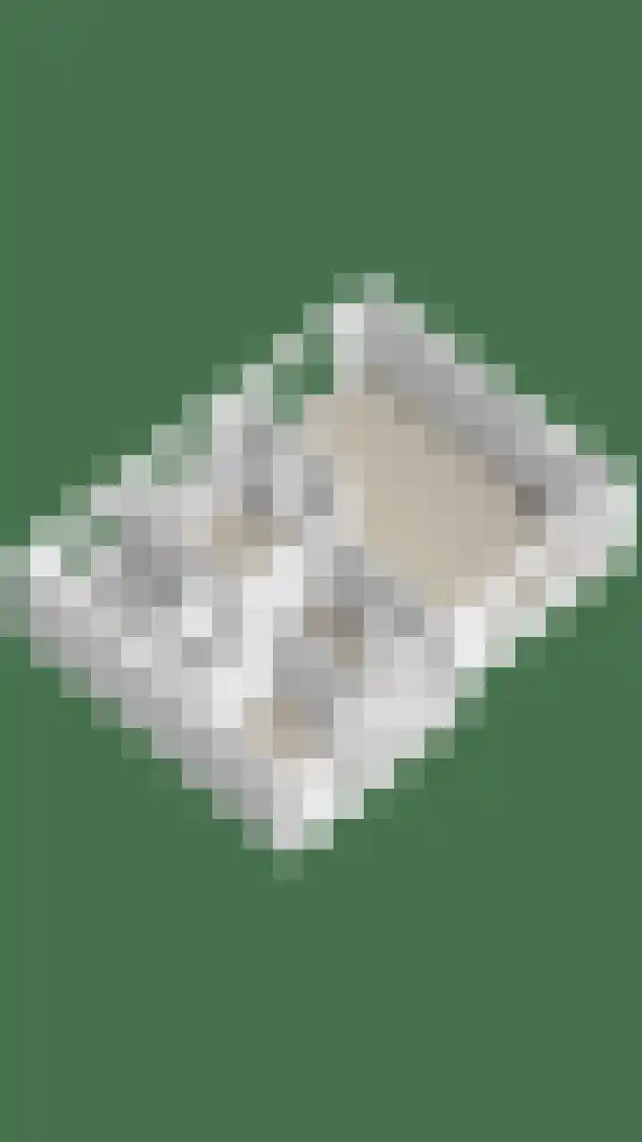 Sleedoorn 14 Geldrop thumbnail 65