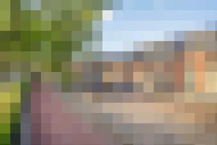 Sleedoorn 17 Heiloo thumbnail 13